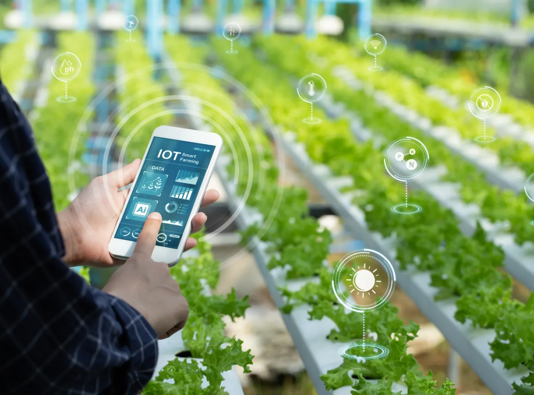 Equipamentos Modernos